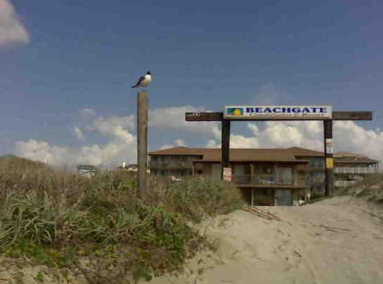 Beachgate Condosuites And Oceanfront Apartment